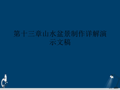 第十三章山水盆景制作详解演示文稿