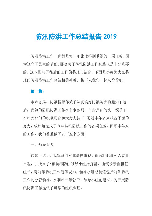 防汛防洪工作总结报告2019