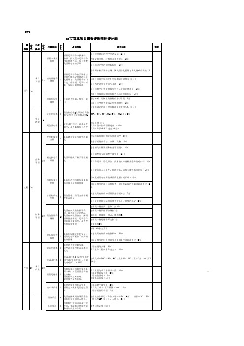 农业项目指标评分表-