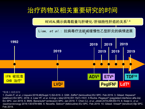 慢性乙型肝炎的治疗目标-前瞻性思考共24页文档