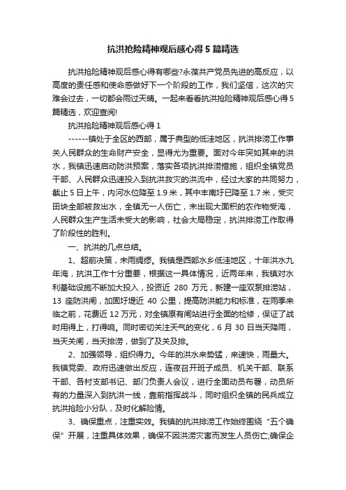 抗洪抢险精神观后感心得5篇精选