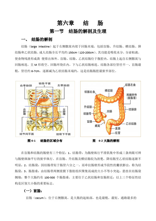 结肠解剖