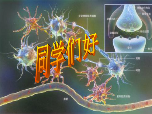 躯体运动和行为的神经控制4