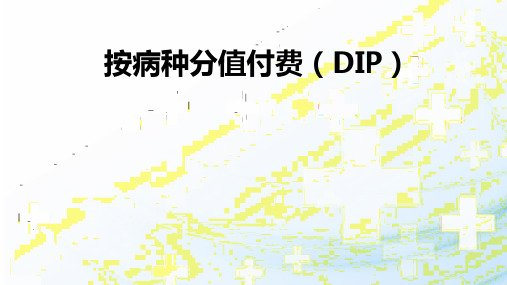 院内按病种分值付费(DIP)专题培训