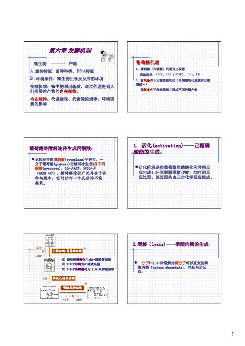 发酵工程工艺原理：6 发酵机制1