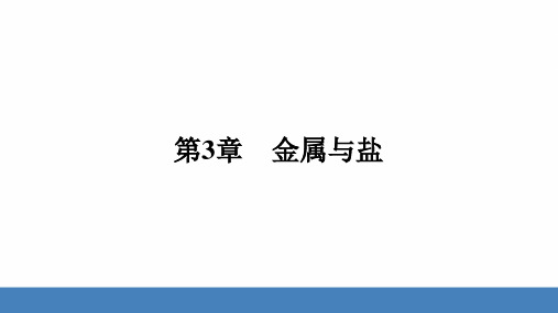 3.2第2课时 金属的腐蚀与防护练习课件华东师大版九年级上册科学