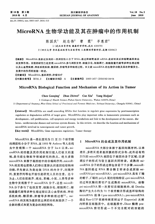 MicroRNA生物学功能及其在肿瘤中的作用机制