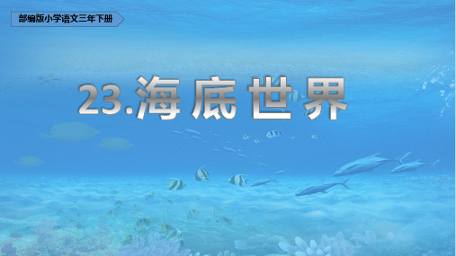 部编版三年级语文下册23《海底世界》(课件)(共22张ppt)