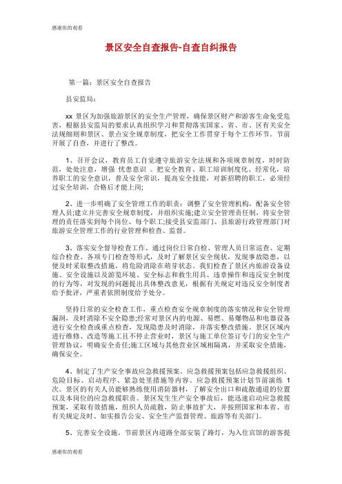 景区安全自查报告自查自纠报告.doc