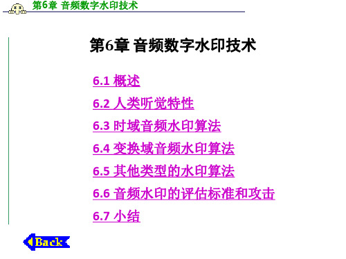 音频数字水印技术