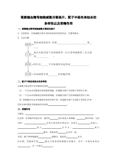 学案1：2.1.3 观察蝗虫精母细胞减数分裂装片、配子中染色体组合的多样性以及受精作用