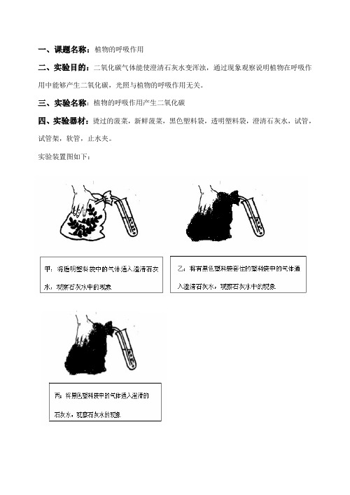 苏教版生物-七年级上册-植物的呼吸作用  杨霞  溧水县石湫中学明觉分校