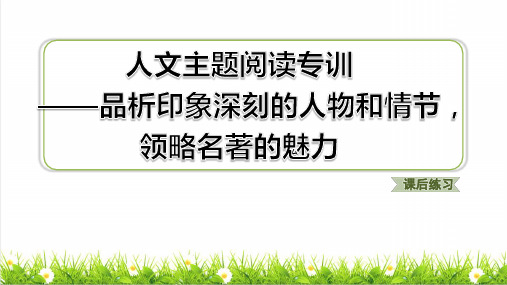 部编版六年级语文下册第二单元人文主题阅读专训——品析印象深刻的人物和情节,领略名著的魅力练习课件