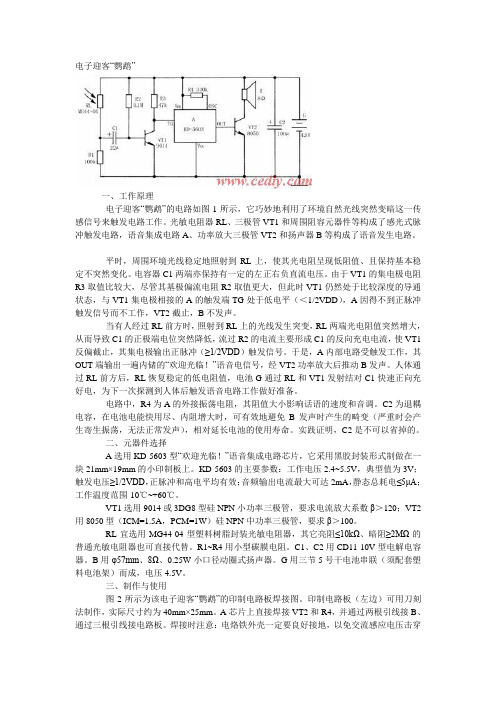 电子迎客“鹦鹉”