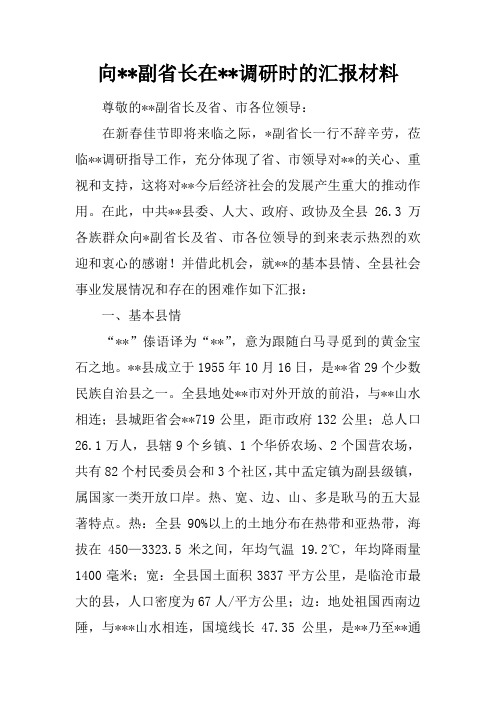 向--副省长在--调研时的汇报材料