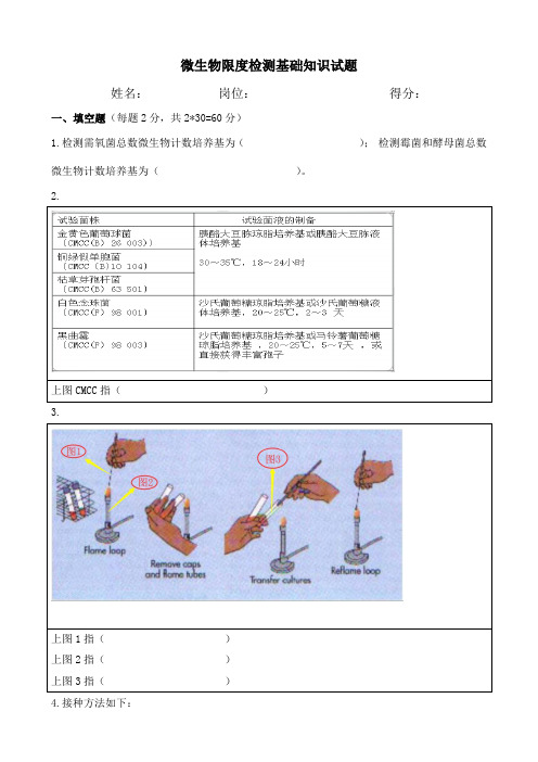 微生物限度实验基础知识试题2018-12