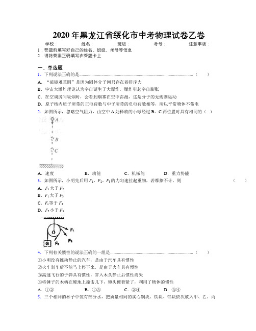 2020年黑龙江省绥化市中考物理试卷乙卷附解析