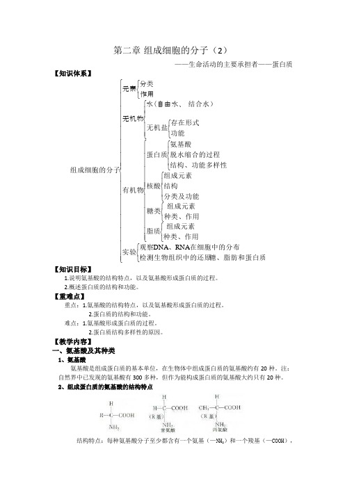 第二章  组成细胞的分子---蛋白质