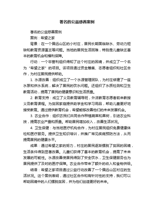 著名的公益慈善案例