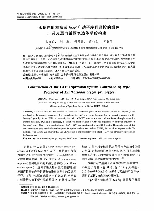 水稻白叶枯病菌hrpF启动子序列调控的绿色荧光蛋白基因表达体系的构建