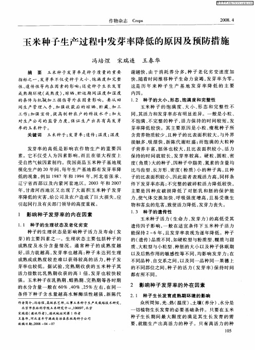 玉米种子生产过程中发芽率降低的原因及预防措施