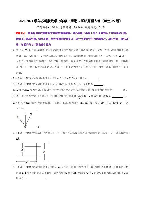 期末压轴题型专练(填空题35题)(学生版)