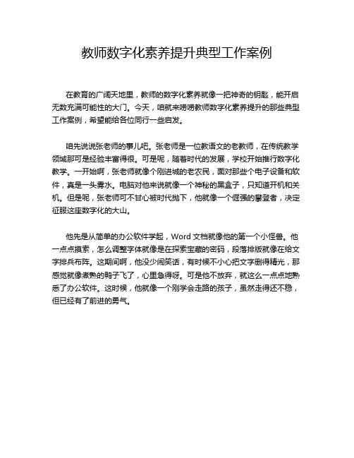 教师数字化素养提升典型工作案例