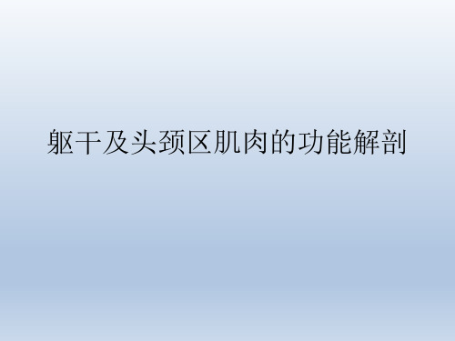 躯干及头颈区肌肉的功能解剖PPT