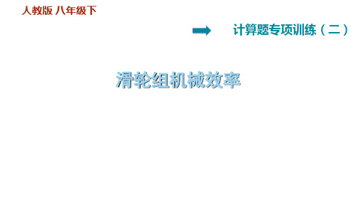 【初中物理 】滑轮组机械效率计算专题 2023-2024学年人教版物理八年级下学期