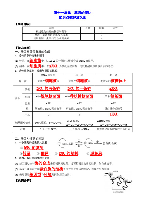 【高考生物】第11单元  基因的表达-讲义(知识梳理 典例 训练)