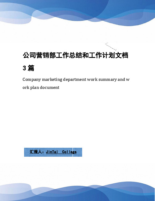 公司营销部工作总结和工作计划文档3篇
