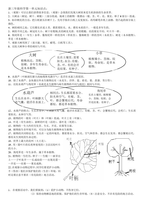 三年级上册浙江科学整理期末资料