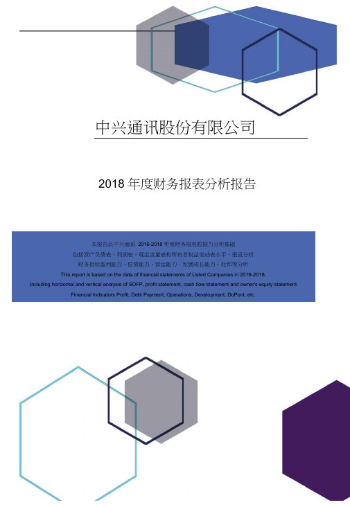 中兴通讯股份有限公司2018年度财务报表分析报告