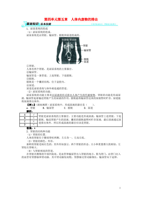 七年级生物下册 第四单元 第五章 人体内废物的排出讲解与例题 (新版)新人教版