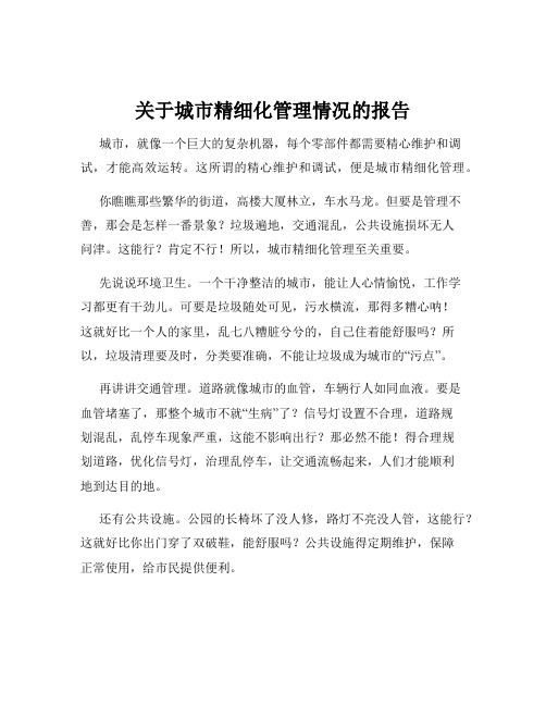 关于城市精细化管理情况的报告