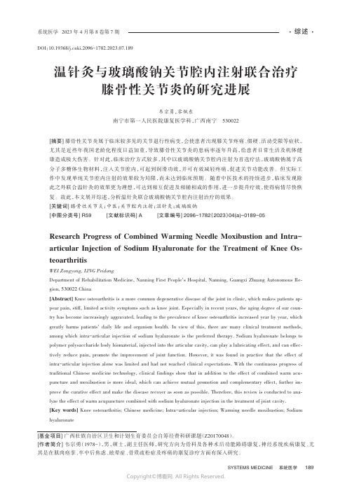 温针灸与玻璃酸钠关节腔内注射联合治疗膝骨性关节炎的研究进展