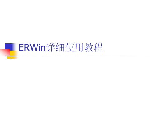 ERWin详细使用教程