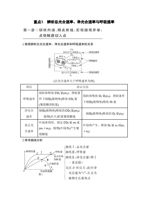 辨析总光合速率、净光合速率与呼吸速率