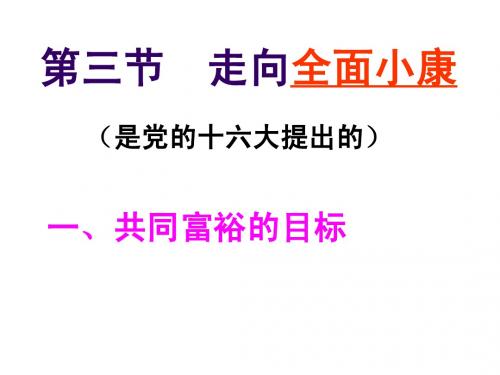 3.3 走向全面小康 课件7 湘教版八年级下册