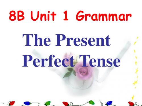 8B Unit 1 grammar