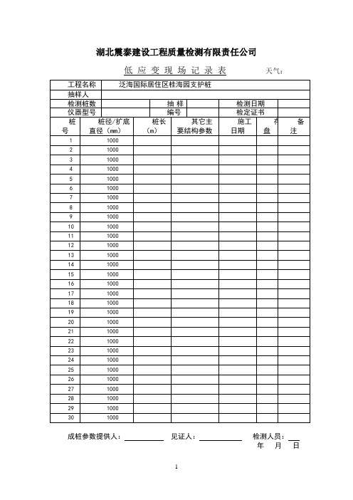 低应变现场记录表格