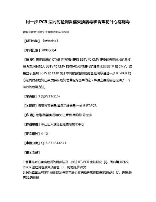 用一步PCR法同时检测香蕉束顶病毒和香蕉花叶心腐病毒