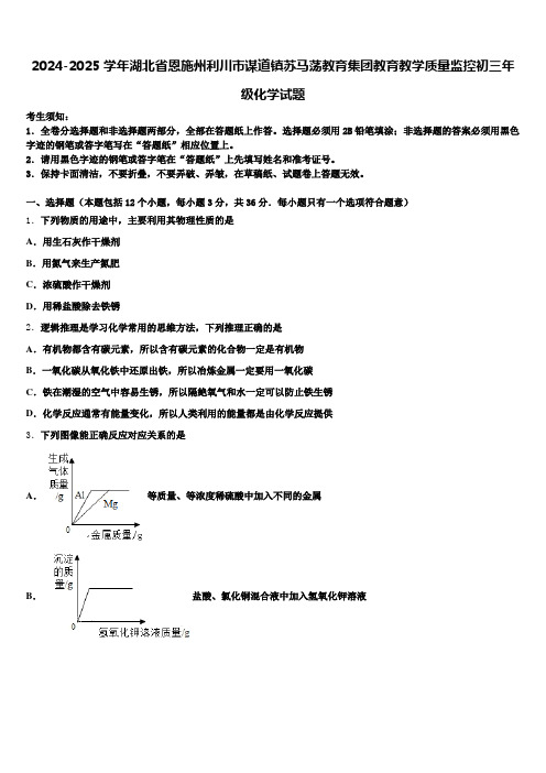 2024-2025学年湖北省恩施州利川市谋道镇苏马荡教育集团教育教学质量监控初三年级化学试题含解析