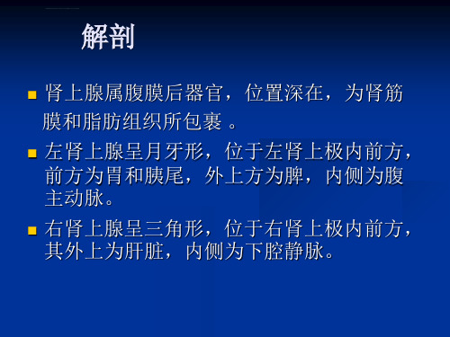 肾上腺疾病超声诊断优质PPT课件