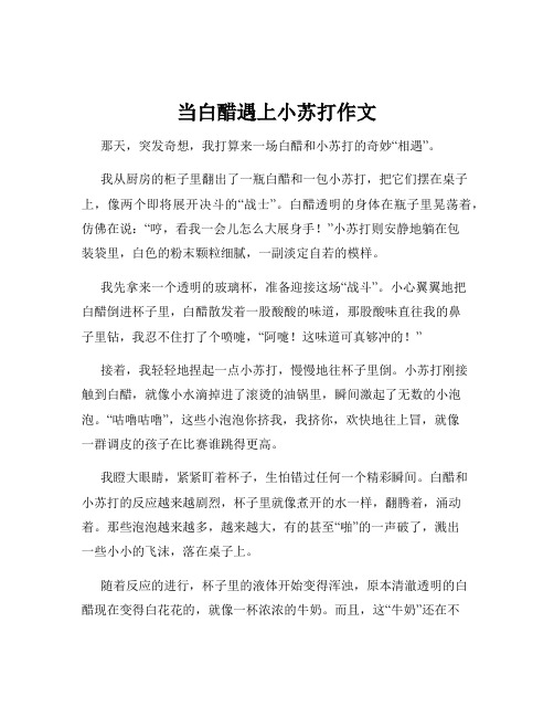 当白醋遇上小苏打作文