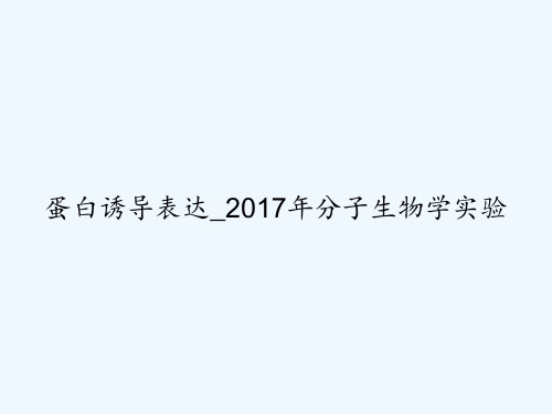 蛋白诱导表达_2017年分子生物学实验 PPT