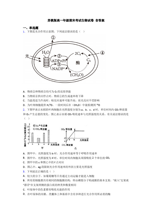 苏教版高一年级期末考试生物试卷 含答案