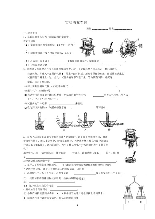 实验探究专题