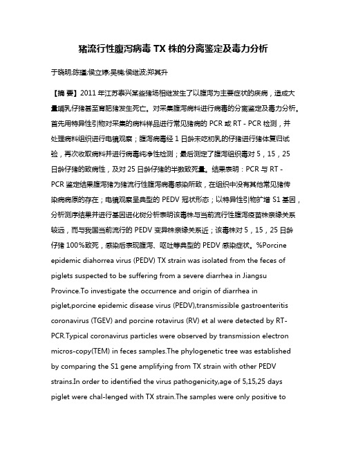 猪流行性腹泻病毒 TX 株的分离鉴定及毒力分析