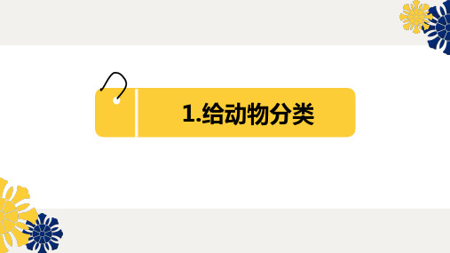 四年级科学《给动物分类》复习课件